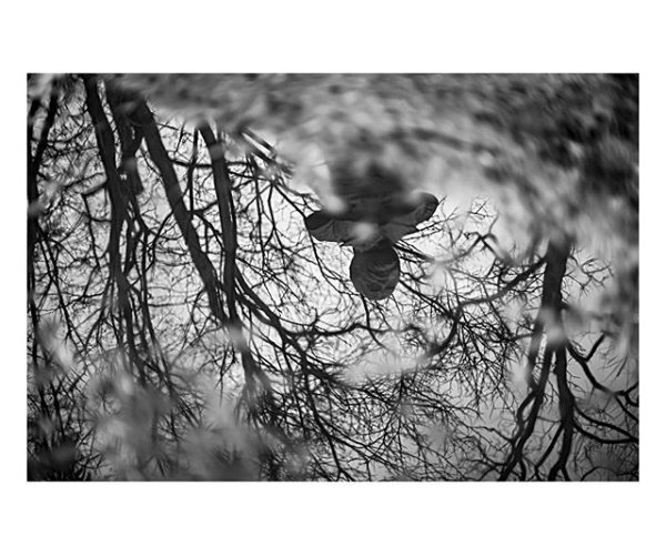 rioproject_eu's tweet photo. Today we highlight a submission for our #opencall we received by @frederik_boving
Don't forget to send us your own images capturing Identity using the hasthag #IdentityDialoguesEurope
• • • • • •
Copenhagen reflections. https://t.co/HVTDUCWxRt