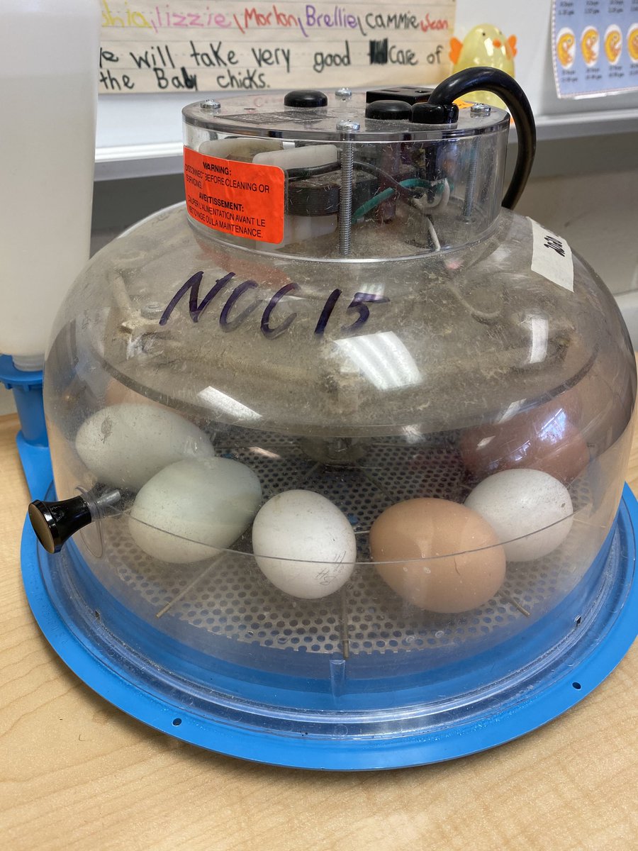 TSorokanych's tweet photo. We’re getting ready for this EGGciting time! Our embryos are here!! 🐣 https://t.co/VqY7Gb9H8Q