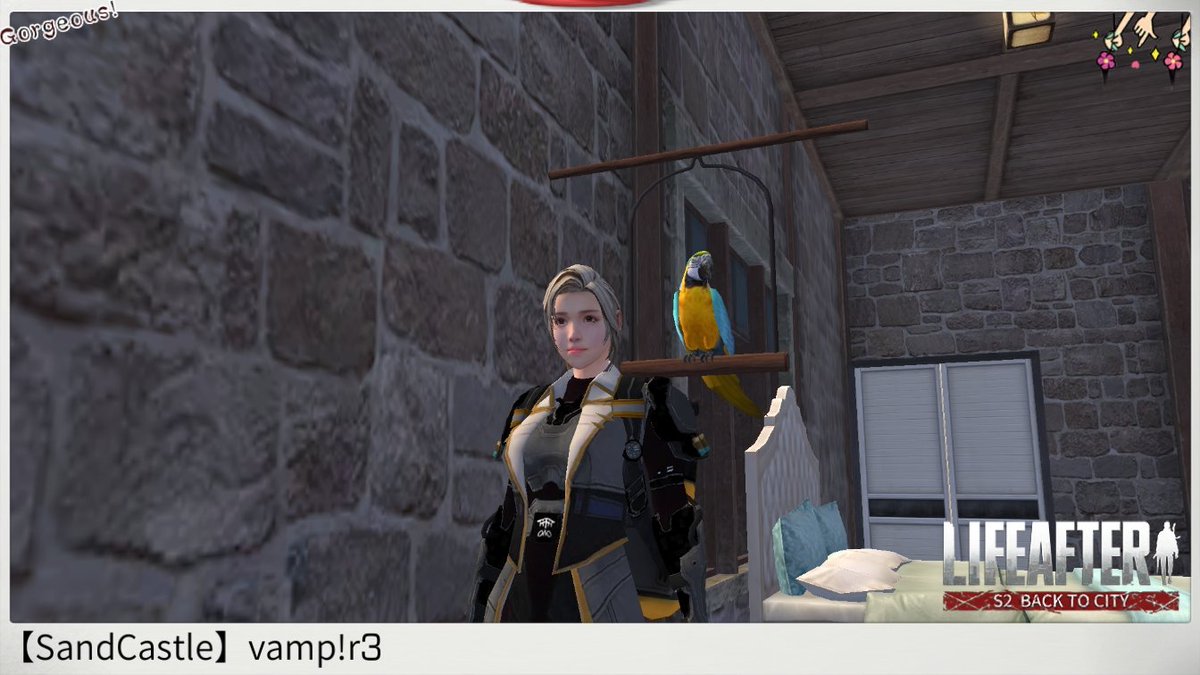 R3Vamp's tweet photo. Meh new birb! <3 https://t.co/UIj1idGJGB