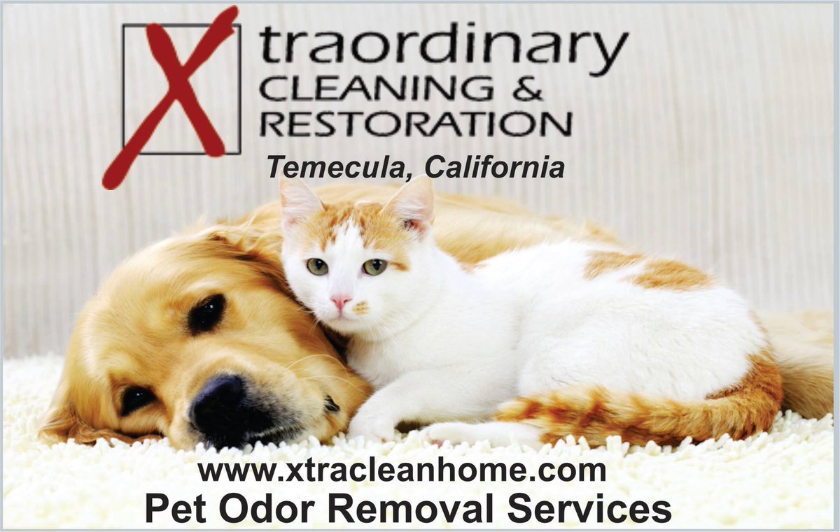 Best Pets Urine Removal Service in Temecula CA - bit.ly/2PDbFoX

#odor #petodorremoval #petodorremovers #petodorremovalservicenearme #professionalpetodorremoval #petsurnieremovalserviceintemecula #temeculacalifornia