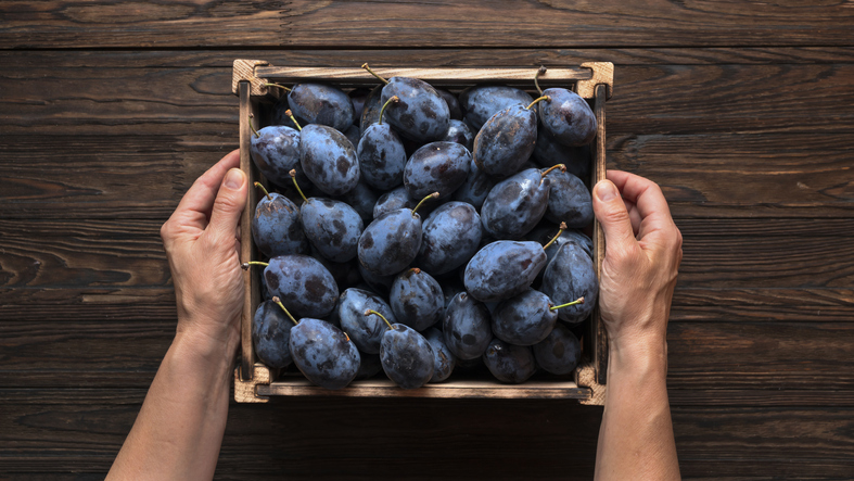 FoodNavLATAM's tweet image. 'Eat fruit, not chemicals':  Chile's PolyNatural talks to us about its fruit-extract coating for fresh produce
bit.ly/38gWNn1