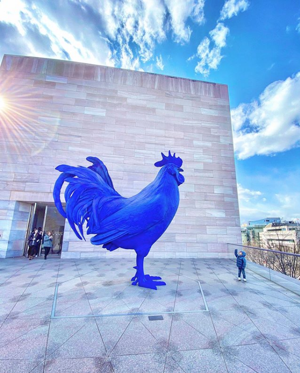 washingtonian's tweet photo. Recognize this guy from our January cover? 
⁠
📸: This shot is by asialiu/IG⁠
🐔: "Hahn/Cock" by Katharina Fritsch⁠

#washmagphoto https://t.co/bNnD8BEAYM