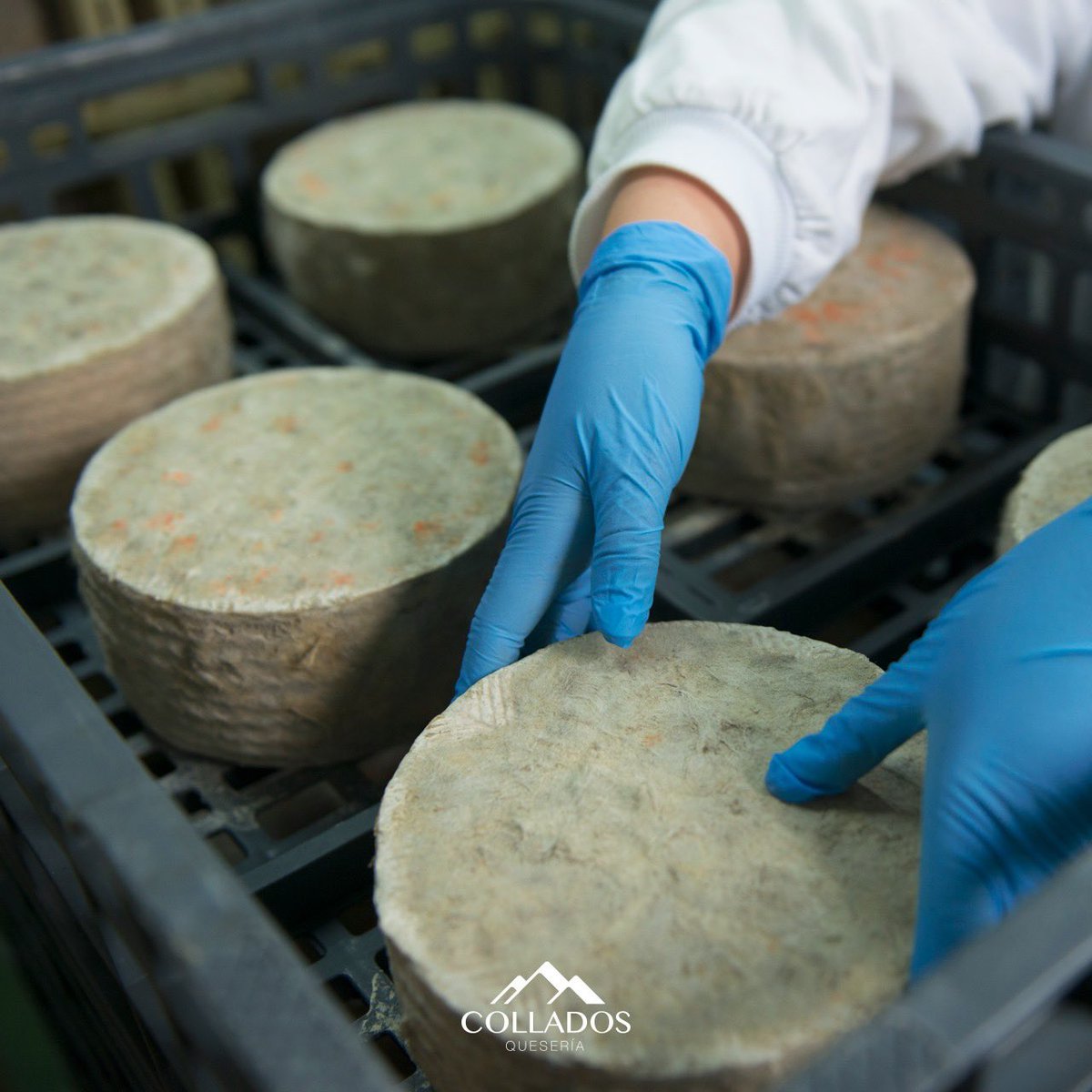 ATUCCAS's tweet photo. ¡ Collados Quesería también se une a la #IFeriaDeProductosLocales de #Castril! 

¿Quieres probar el auténtico sabor del #quesodecabra de antaño? ¡Pruébalos en su stand el 21 y 22 de marzo!

#CastrilTurismoNatural #MunicipioGastrosaludable #Granada https://t.co/kpIR2XaVPj