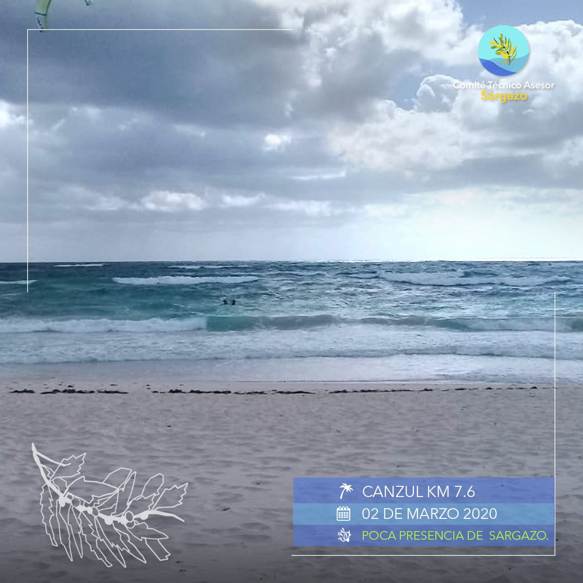 CTASargazo's tweet photo. #ReportePlayas
Te compartimos el reporte del día, aquí algunas sugerencias de playas. #PlayasLimpias 🏝📷 02/marzo/2020 https://t.co/FQT4qhjp4Q