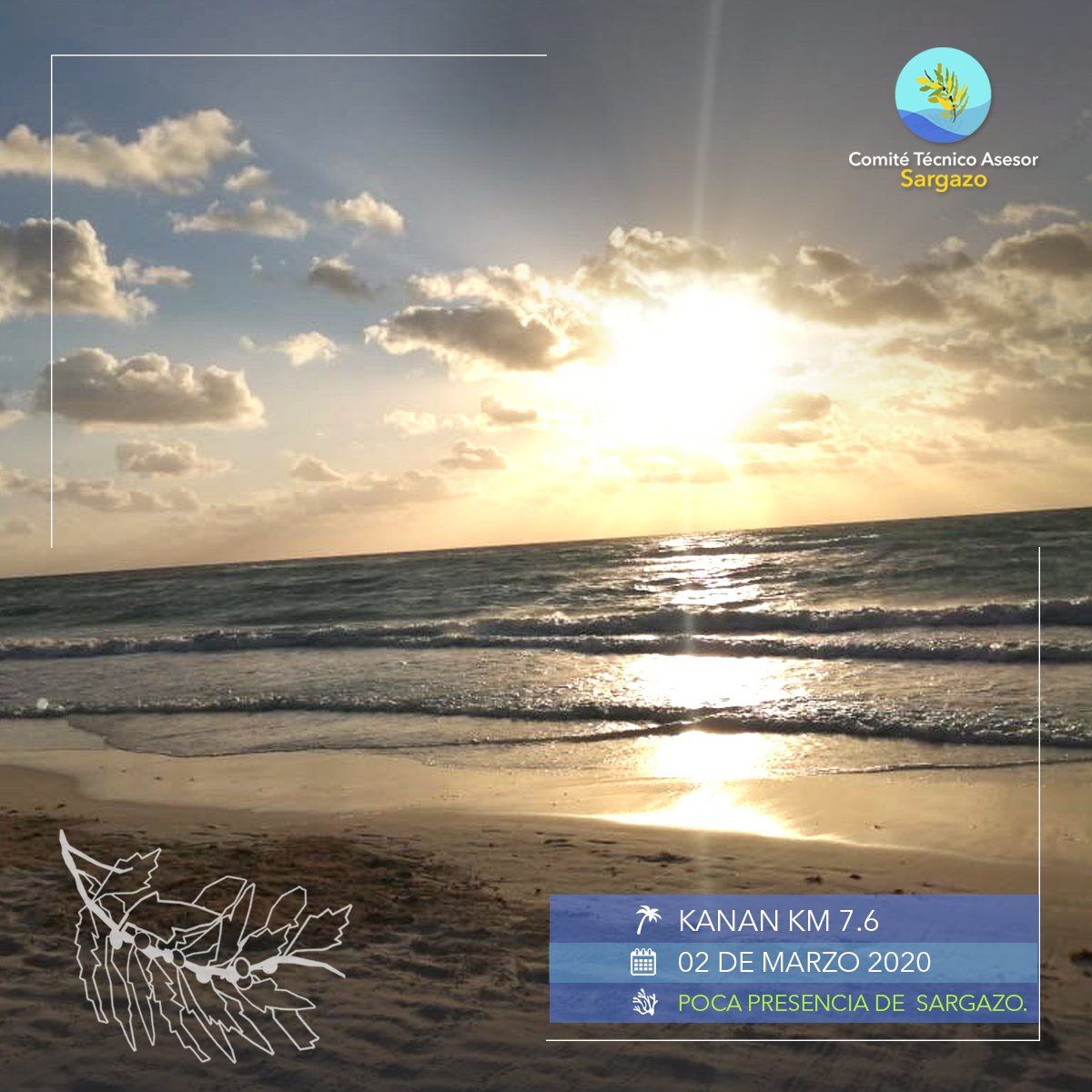 CTASargazo's tweet photo. #ReportePlayas
Te compartimos el reporte del día, aquí algunas sugerencias de playas. #PlayasLimpias 🏝📷 02/marzo/2020 https://t.co/FQT4qhjp4Q