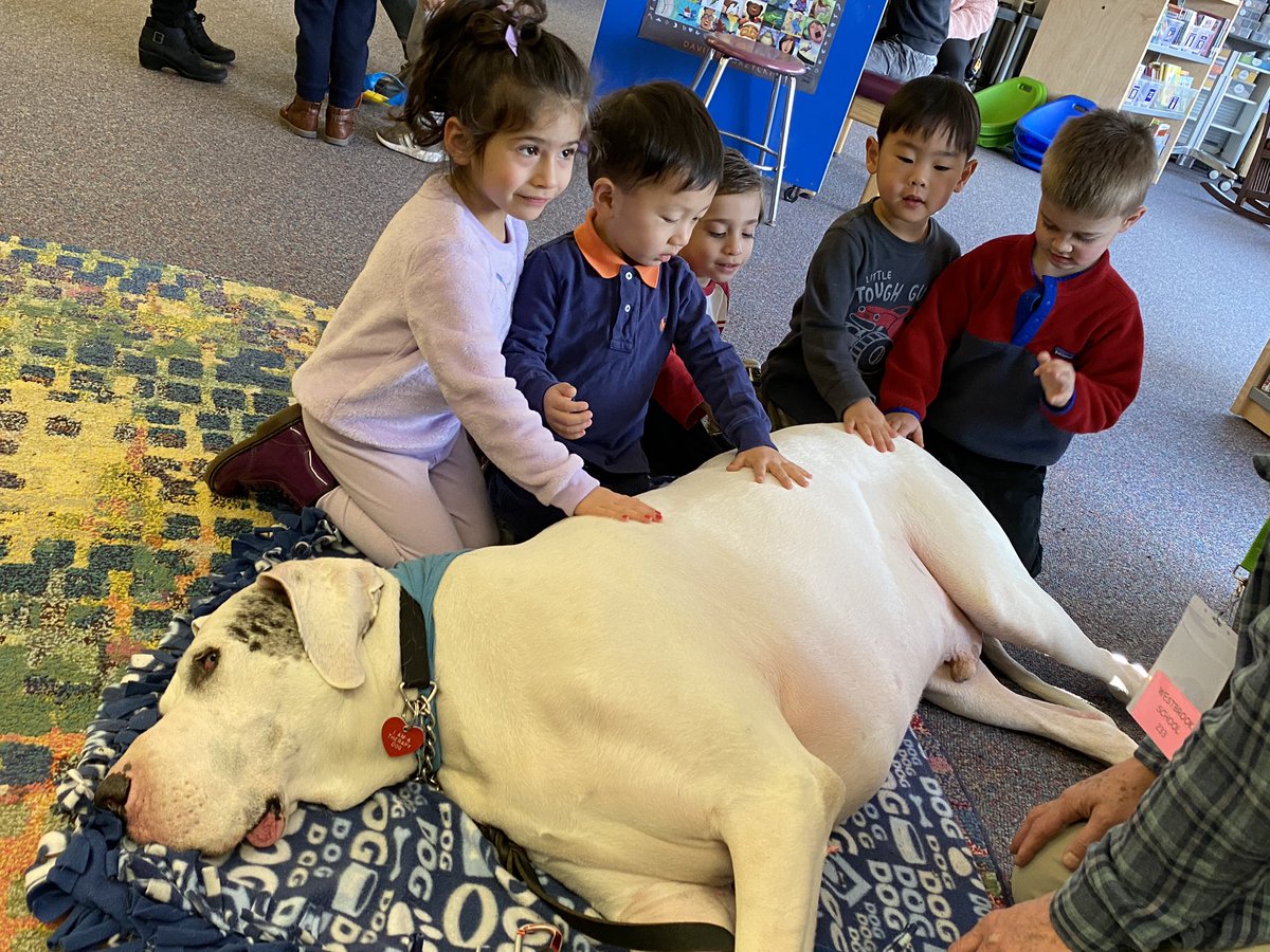 Jeannie Sung, Ed.D. tweet media