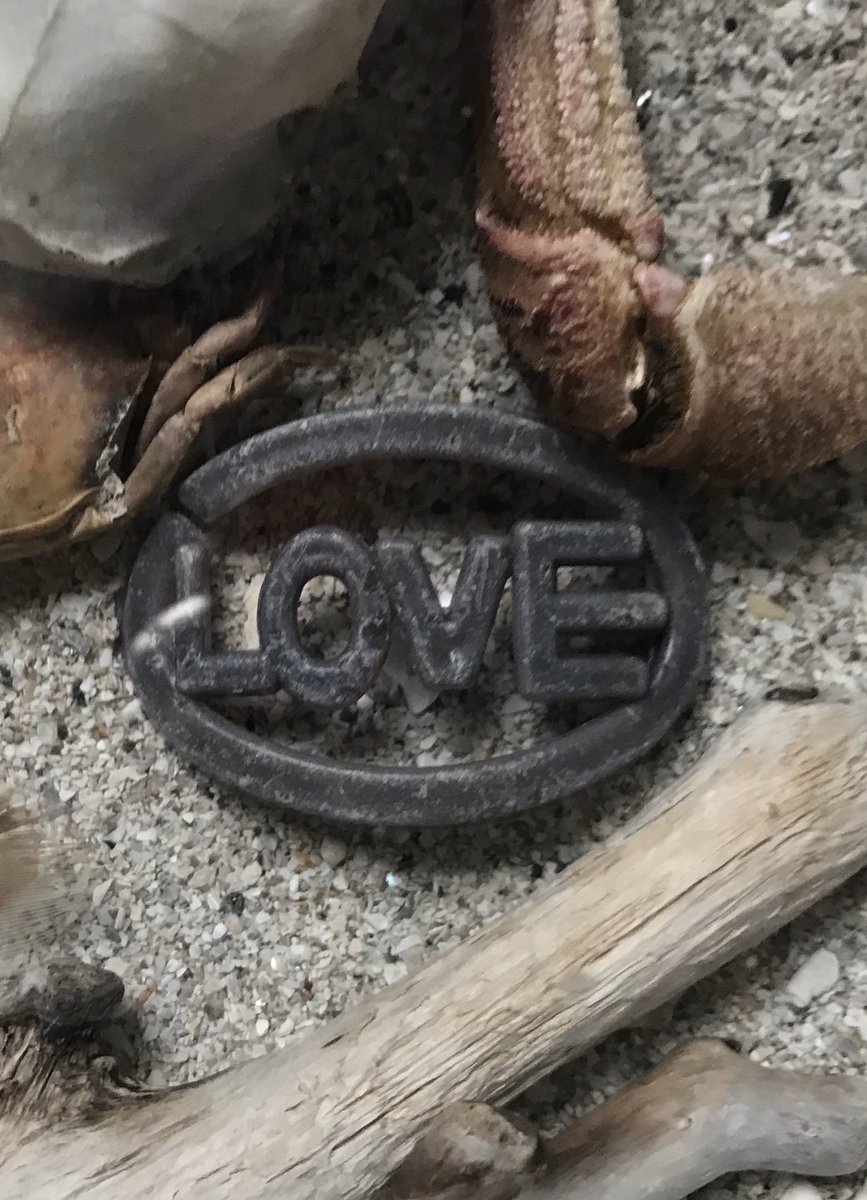 deans_beach's tweet photo. We need some #help @TrishBrewster1 and I @libbydarling found these #love #moldedplastic #badges on 2 different #beaches one in #Scotland and one in #EastSussex #UK we want to know what they are and where they’re from #Twitter can you help #please #share https://t.co/A8f7z4P2WY