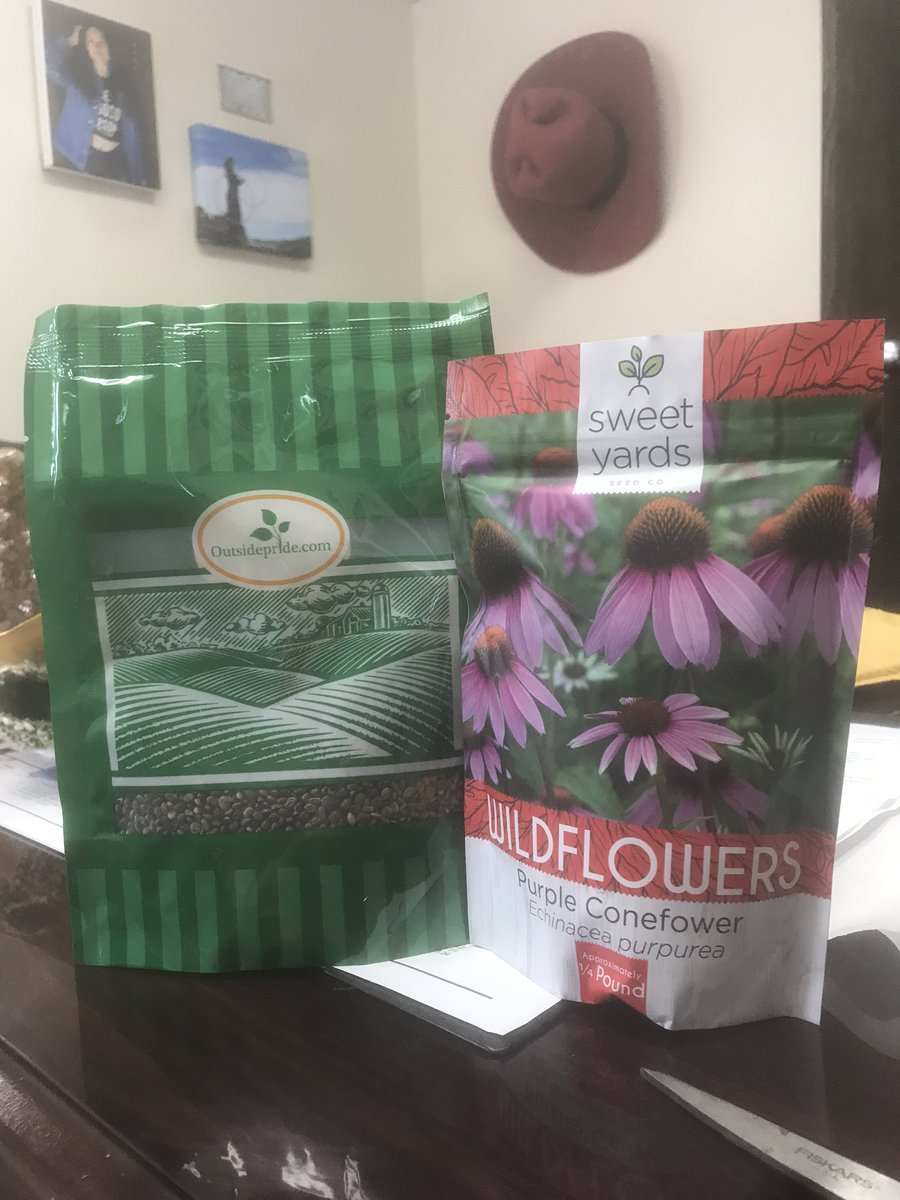 brandyjo21's tweet photo. These seeds arrived today! Thanks mom !
Iโm gonna walk off this heartbreak, scattering seeds all the while.
Chelseyโs gonna squeeze the sadness from my rain clouds
till the blossoms make me smile. #RIPChelsey https://t.co/VlYdlWJhfF