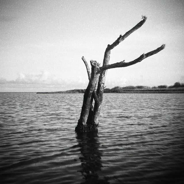 TheLightFactory's tweet photo. @sonjalangford’s “Imagine” is yet another image featured in our Print Madness sale. Use the bio link to visit the site and learn more—and to see the other 14 photographers who contributed to your fundraiser. https://t.co/BhEMKfILn8 https://t.co/73e2s9BwUh