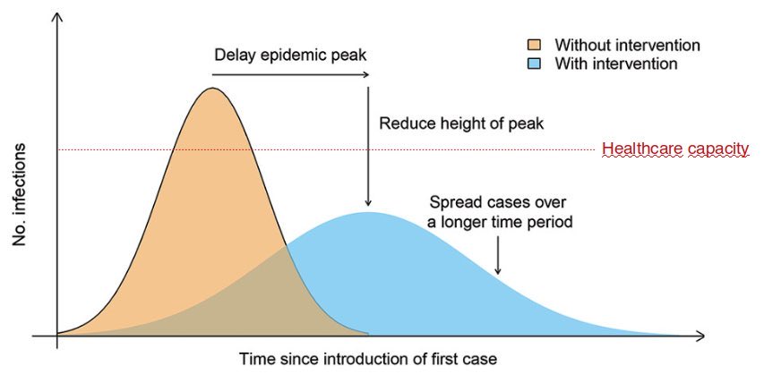 A wonderful visual to explain why the way forward regarding #COVID2019 is similar irrespective of whether we can halt it or only slow down: reason is foremost practical! Minimize, Buy time and ensure healthcare systems can keep up. Lets do this together 🤝 #Togethercontrolcovid19
