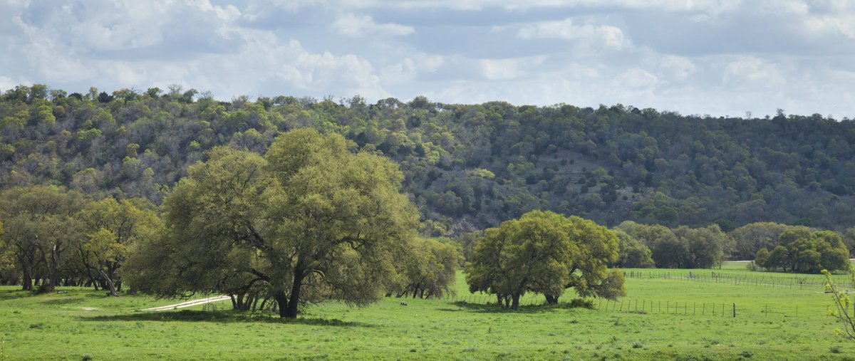 Plateau Land & Wildlife tweet media