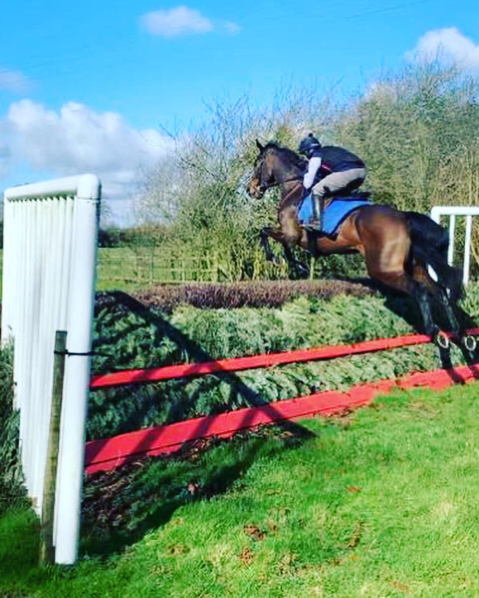 SamJukes6's tweet photo. @lucybiddlecombe &amp; I schooling session today with Henrietta Knight @KnightHen @JerrymcGrath👍🏾MARCLE RIDGE jump prep for the Festival @CheltenhamRaces on Fri 13 
MarcleRidge = sibling to Supreme Novices Hurdle fave SHISHKIN trained by Nicky Henderson @sevenbarrows https://t.co/Y4QGMcGTuQ