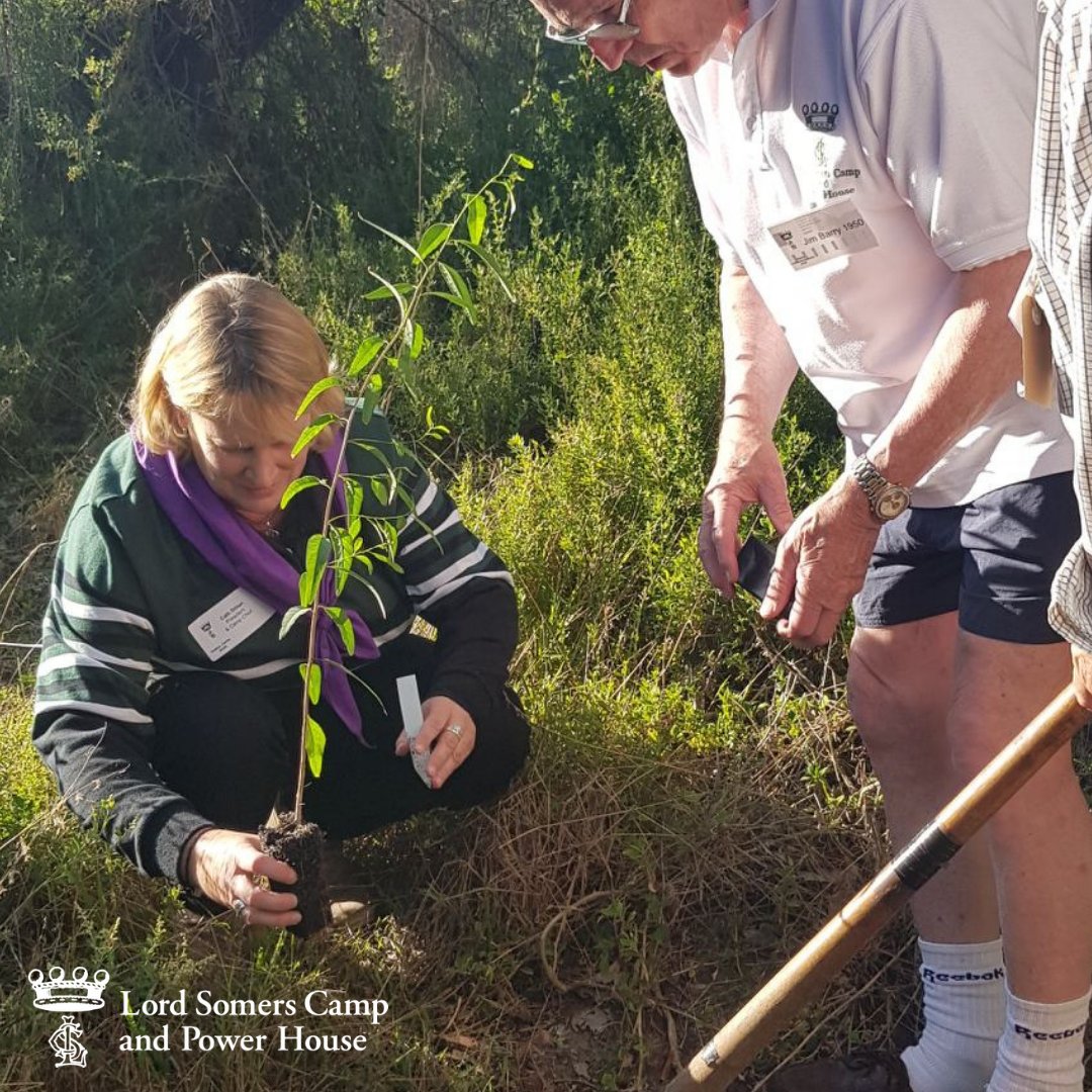 Planting a sapling from the Separation Tree down on the grounds at Somers during #OldiesCamp. The original tree was heritage listed and is located in the Royal Botanic Gardens Victoria. 

Read more about the Separation Tree here: ow.ly/f0W150yzRxp