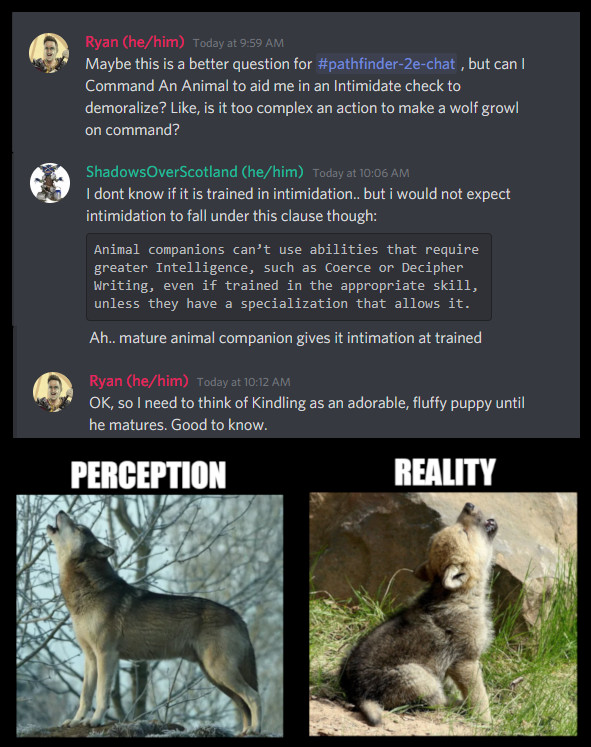 knowdirection's tweet photo. Today's #hideouslaughter brought to you by the Know Direction Discord server.
https://t.co/q1VmDjxEMY https://t.co/kcX8HvOze9