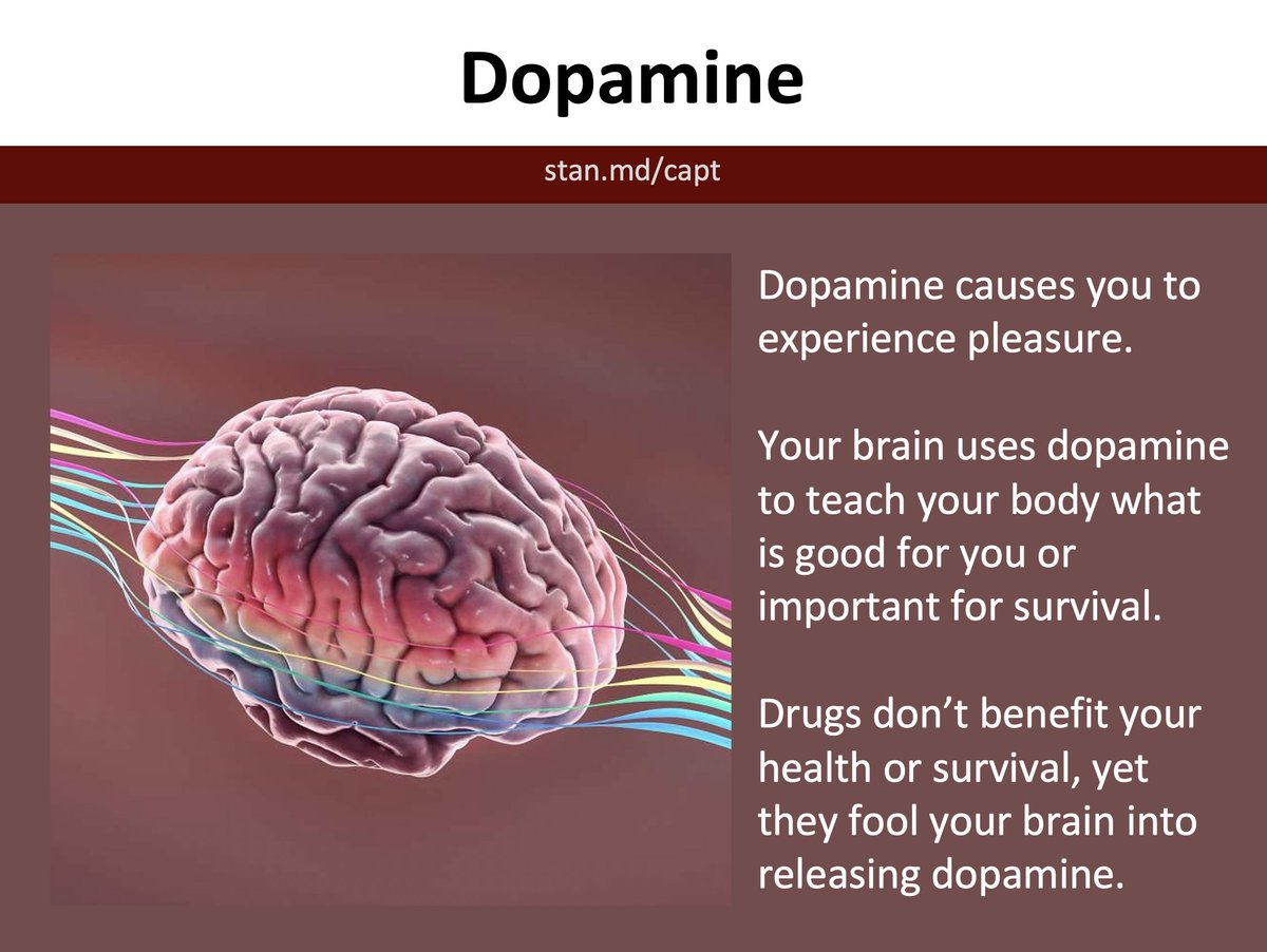 CaptStanford's tweet photo. #NewCurriculumAlert📢A new activity "Defining Your Dopamine" has been added to the Refusal Skills & Social Norms Module of CAPT! This activity will allow students to learn about how drugs can interfere with brain development and experiences of pleasure. https://t.co/q0WpPLS5sz https://t.co/kdRwURjHjd