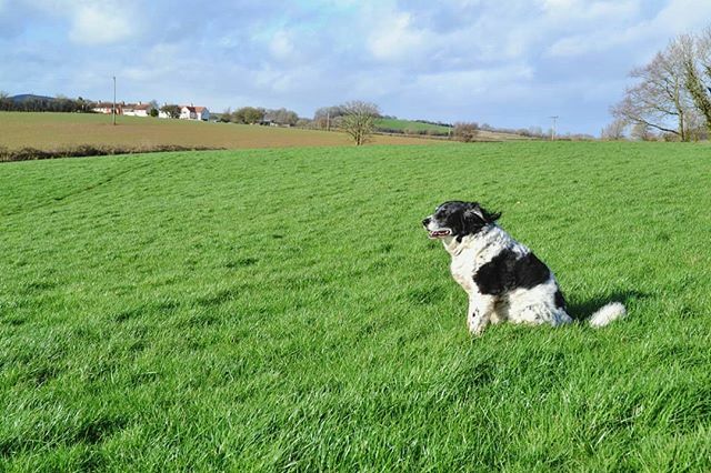 Kelly Mill tweet media