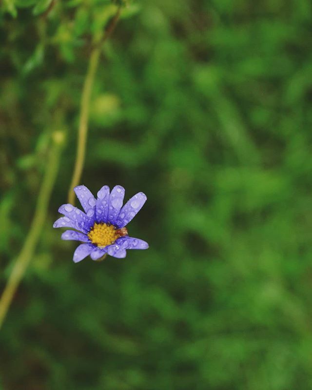 Kelly Mill tweet media