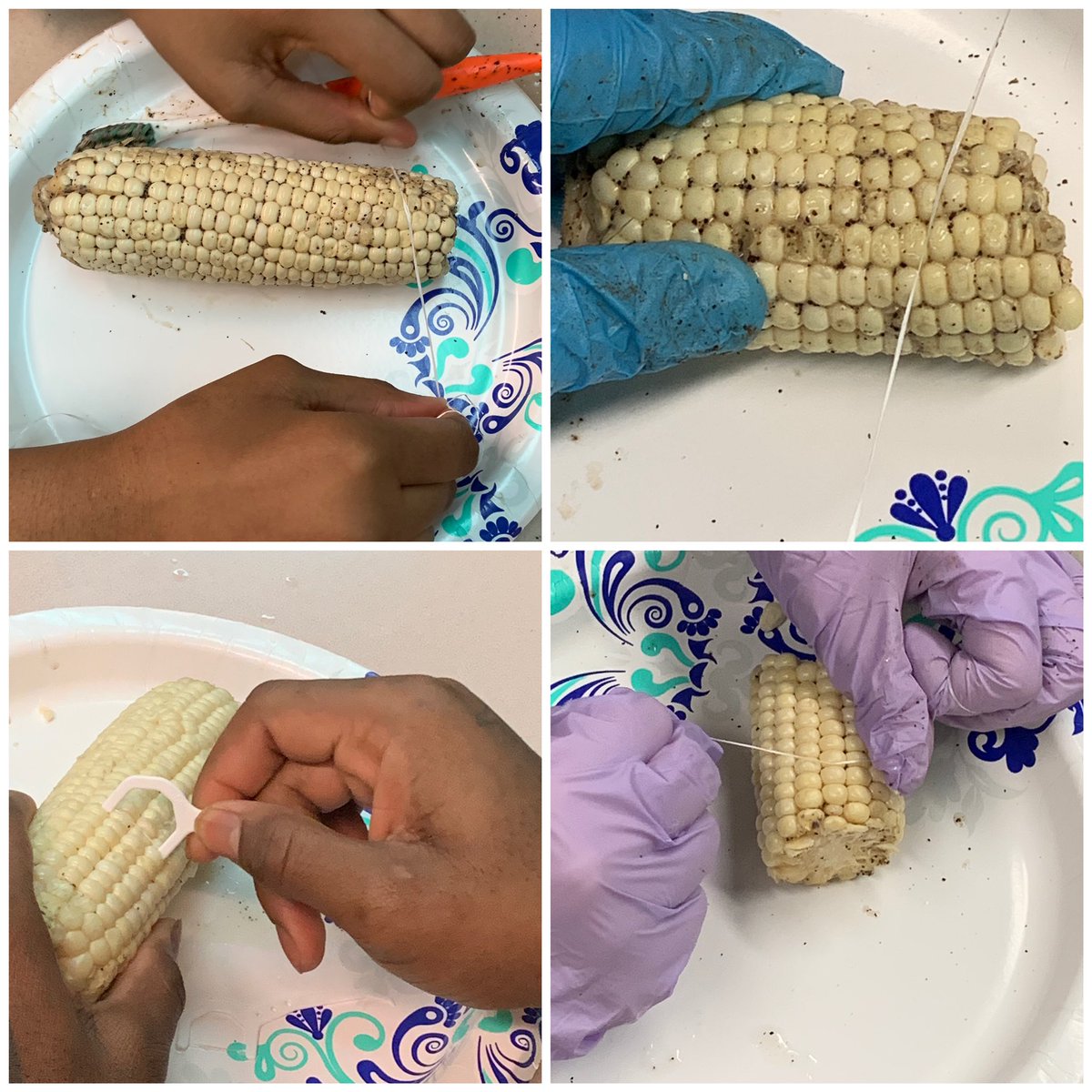 WrightsonCHS's tweet photo. Today we finished our dental hygiene unit with brushing then flossing corn on the cob to simulate our own teeth. We ended with completing these tasks on ourselves to demonstrate our learning! #FALSFun #LifeSkills @ChesapeakeHS @alwesloski https://t.co/Dnxmr6voFE