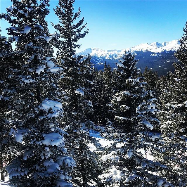 whitswildtribe's tweet photo. ❄️ March snow is beautiful ❄️ #colorado #lifeincolorado #coloradolife #visitcolorado https://t.co/UL2zeBu20S https://t.co/OG1pl64hNr