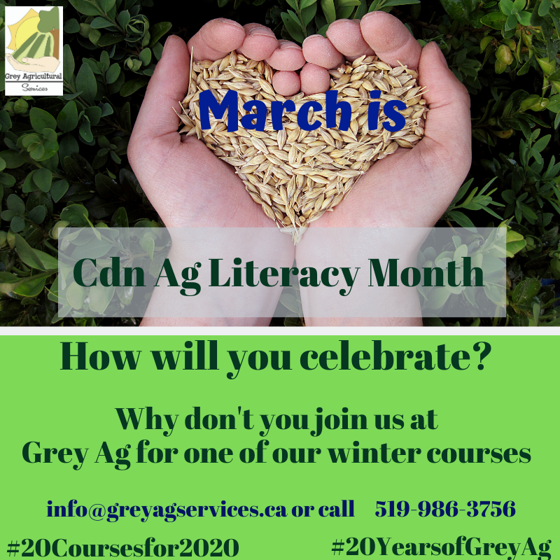 GBFarmersWeek's tweet photo. March is #CdnAgLiteracyMonth. Why don't you sign up for one of the #GreyAg #Wintercourses. Learn about #mentalhealth, #startingafarm #pigs, #cowcalf #economics, #Horses #Gardening and more. More details - https://t.co/vUUFhyCJo1
#ontag #CdnAg #AgEvent #Farming #Farms #beef https://t.co/gwWK1Ti7xe