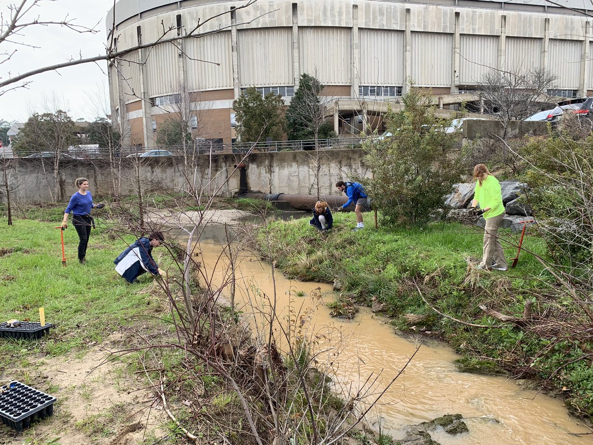 brantef's tweet photo. The rain stopped, sun came out &amp; we put some native plants planted along Parkerson Mill Creek. We also met an undergrad research fellow taking E. coil samples #water #nativeplants #creekfun https://t.co/HudhoDtpQq