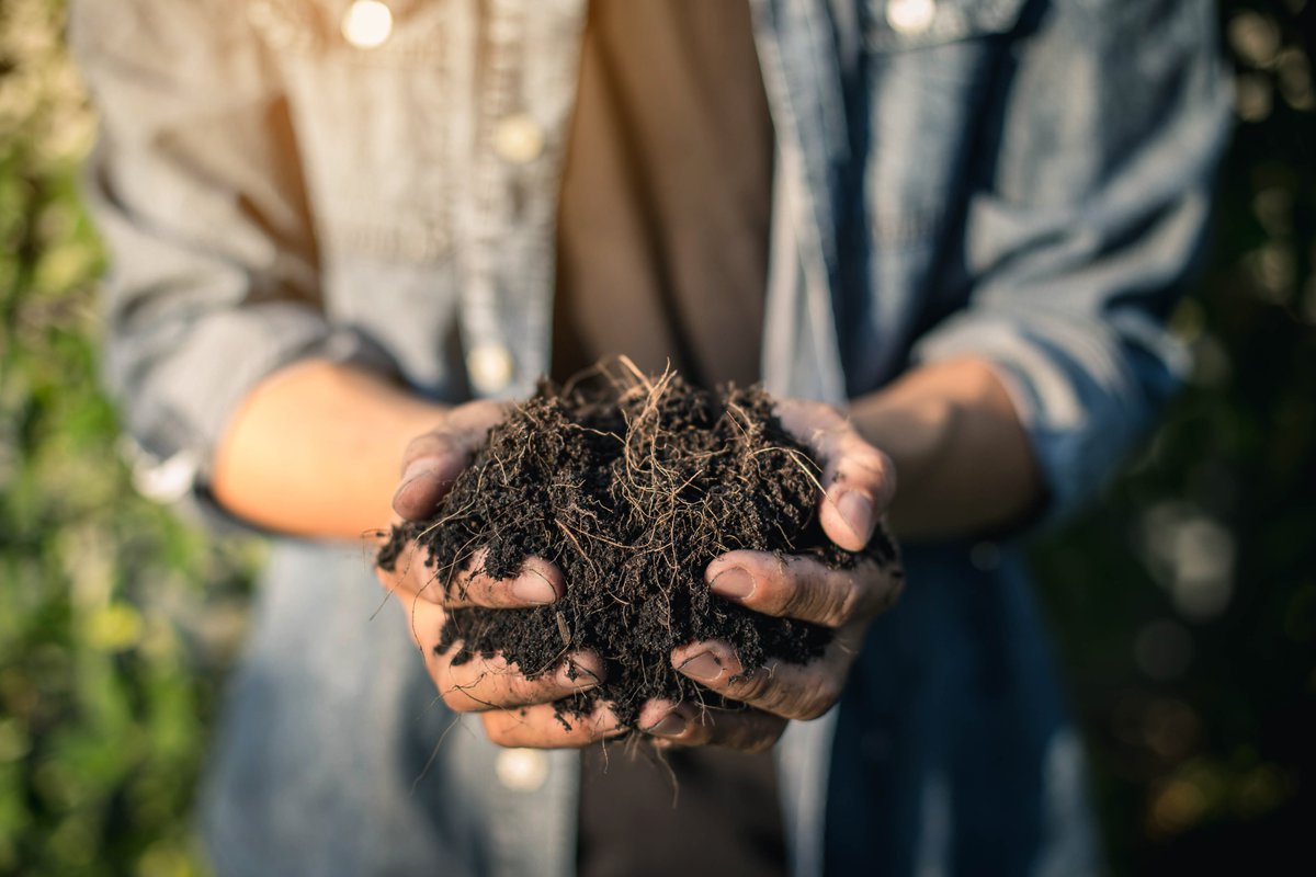 Know2Grow Alert- Practical Soil Management with Gypsum
nordersupply.com/agronomy/pract…