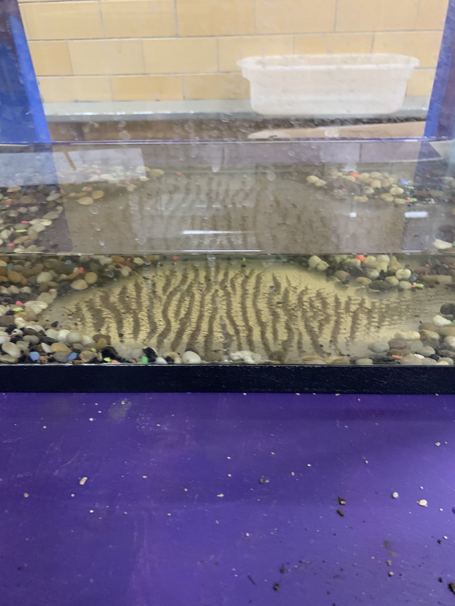 DottkeA's tweet photo. Fun fact: this effect was created from sound waves from our power tools in the lab. Pretty cool! https://t.co/I5Ur5sub3H