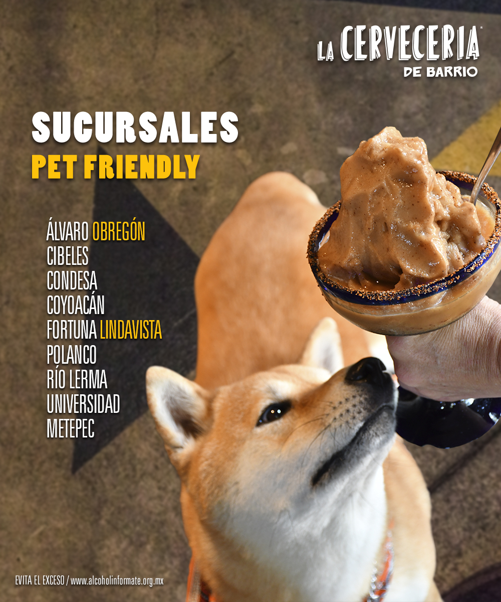 ¡Porque la vida es mejor con nuestro mejor amigo! 🥰❤️🐶

Sucursales>> bit.ly/35EVSwh

#LaCerveceriaDeBarrio #ComoCerveceriaNoHayDos
#LanzateACerveceria #pet #PetFriendly #perros