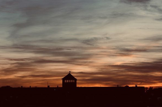 March 2, 1943 | Approximately 1,500 Jewish children, men and women arrive to #Auschwitz in a transport from the German Reich. 973 of them are immediately killed in the gas chambers. 

Later that day another transport arrives from Berlin and 1,350 deportees out of 1,500 are killed