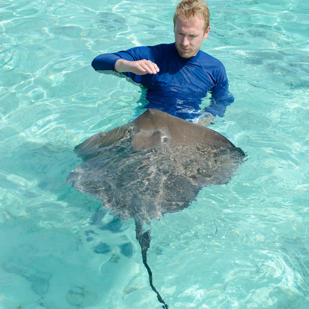BlueMarlinCove1's tweet photo. Make this an unforgettable vacation as you learn about medicinal plants, hand-feed stingrays, snorkel coral reefs, and observe bonefish and shorebirds with West End Ecology Tours!  #BlueMarlinCove1 #bahamas  https://t.co/hTS1MEBsk1 https://t.co/dKHckAcft0