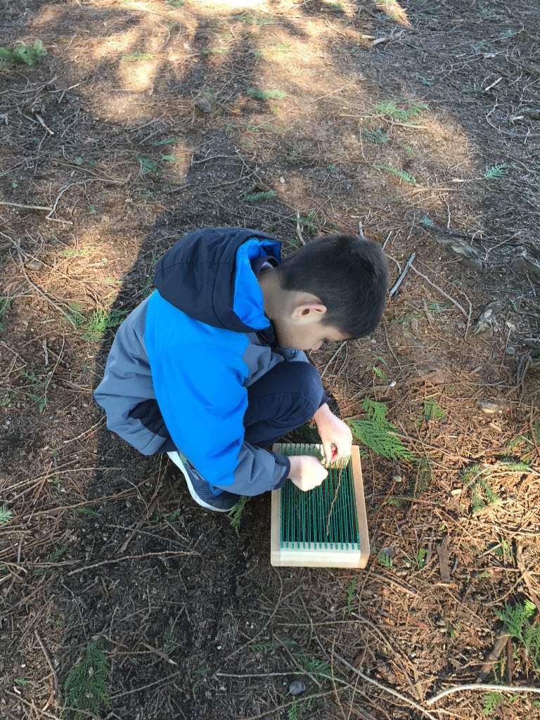 m_porterbc's tweet photo. RJ is weaving. HS and NG are weaving with there buddies. #weaving #nature @JarvisSchool @deltasd37 Tweeted by R.J. https://t.co/W2ZaHBet9z