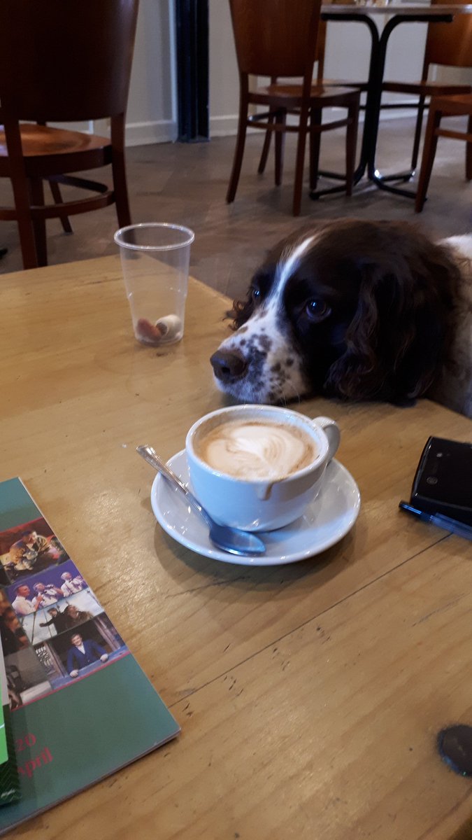 katesfxmakeup's tweet photo. So well behaved today, waiting for his coffee and biscuits π€£
#BaxterGriffiths https://t.co/vVOD4YGJX5