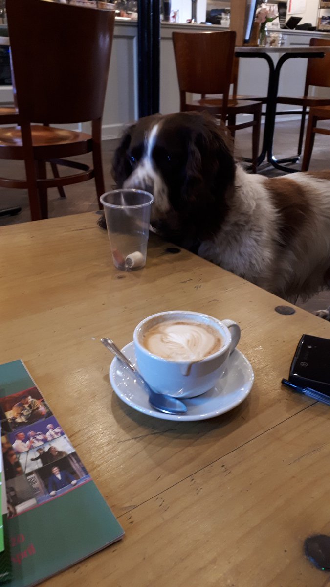 katesfxmakeup's tweet photo. So well behaved today, waiting for his coffee and biscuits π€£
#BaxterGriffiths https://t.co/vVOD4YGJX5