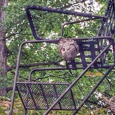 Tree Stand Safety tweet media
