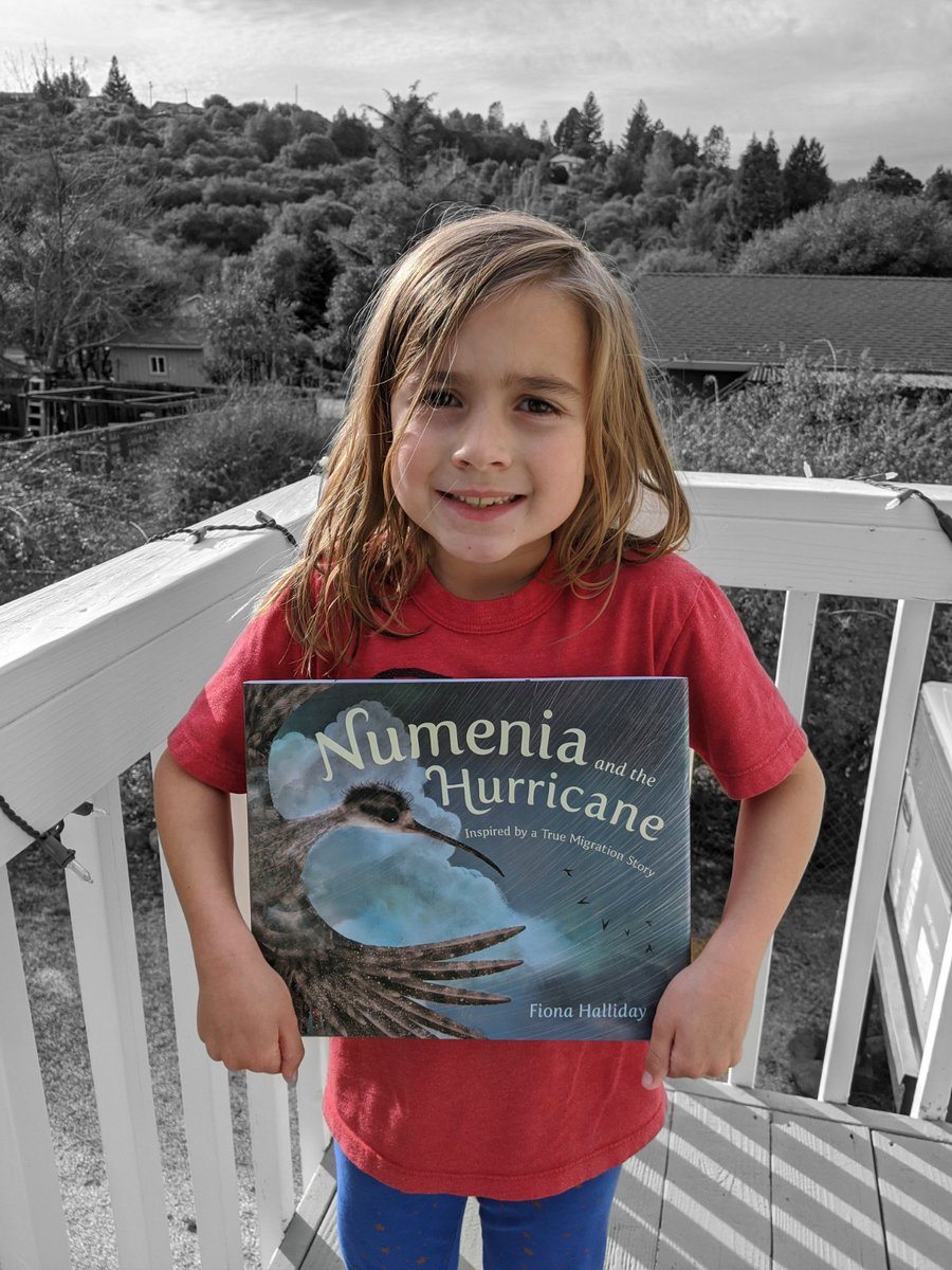 Numenia and the Hurricane by @Fdhalliday blends action-filled verse w/ equally dynamic illustrations to tell the story of a whimbrel that faces a hurricane as it migrates from the Arctic to the Caribbean. Based on a real bird monitored in 2011 amzn.to/3apt5h5 #naturebooks