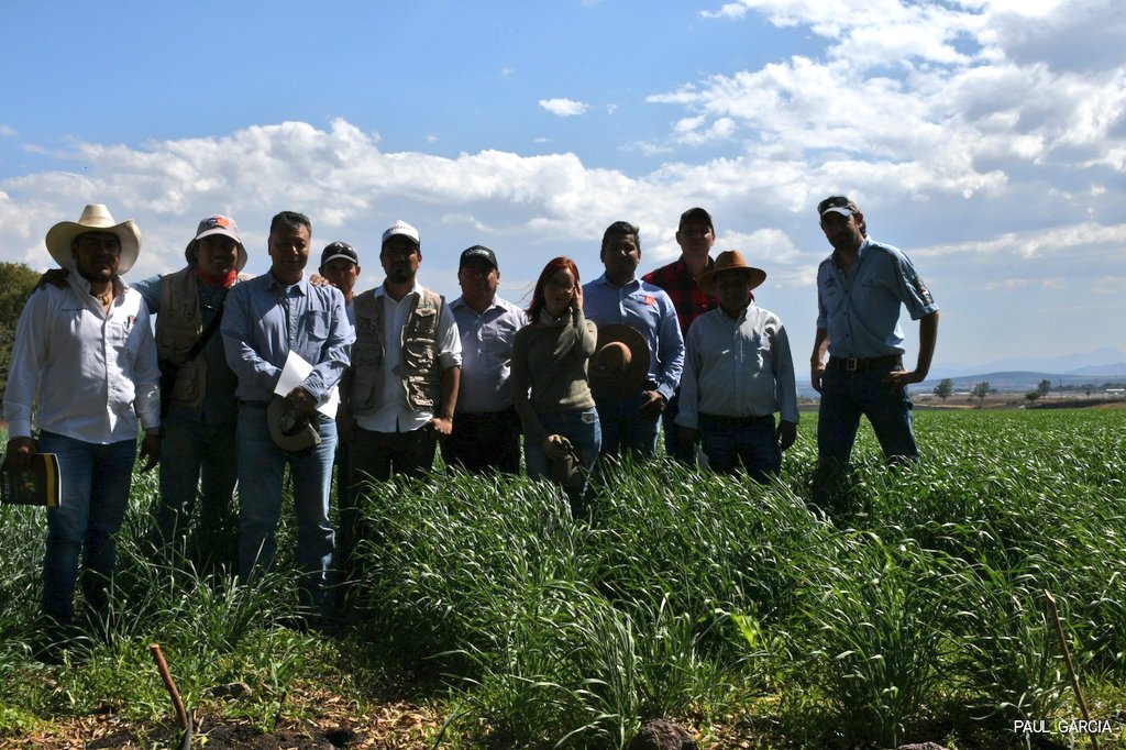 PaulGarciameza's tweet photo. Arrancamos con los recorridos se campo, esta vez en Penjamo y Abasolo. Autoridades municipales, #GrupoBimbo, @inifap, @TecnoAgricolas, #Fertico, #Agrobas.
Objetivo: Mostrar las innovaciones al sistema de producción y encontrar una manera de colaborar.
@SDAyR_GTO @MasAgroGto https://t.co/5tZi9oFFVF