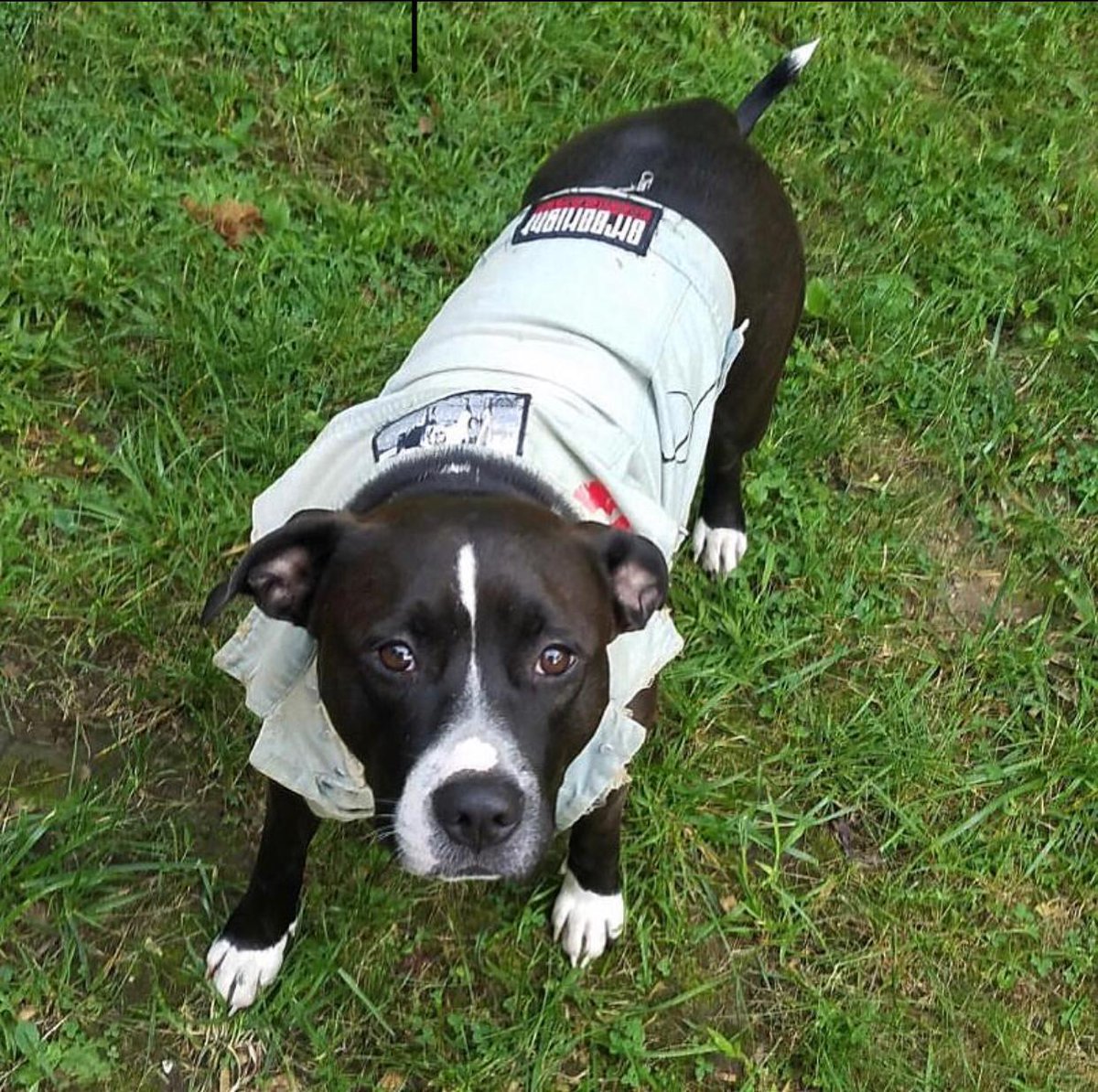 Mon Doudou