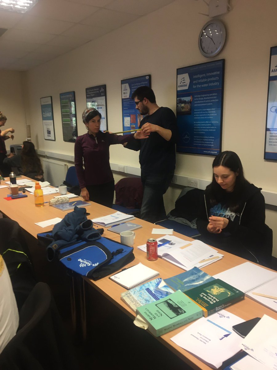Seiche Training tweet media