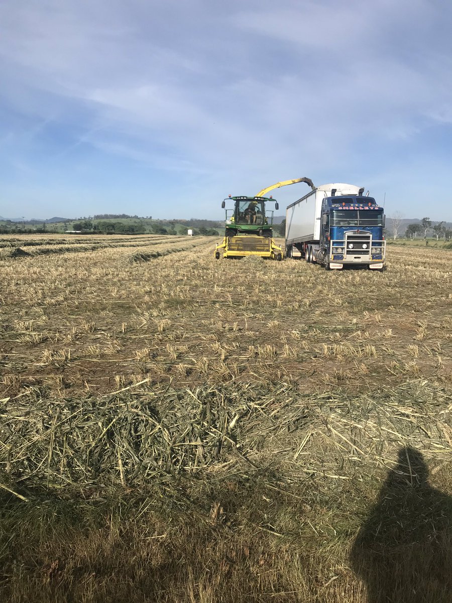 BrendoMagee's tweet photo. Great day for hay....
and silage!
After all the rain SSS has gone great guns growing a great body of feed and maintaining a small stem
Now the sun’s out the big guns are out getting it in before the next storm comes
#Elders #Agvice #Agvenger #letterkenny #howareyounow https://t.co/tJKSExUjvf
