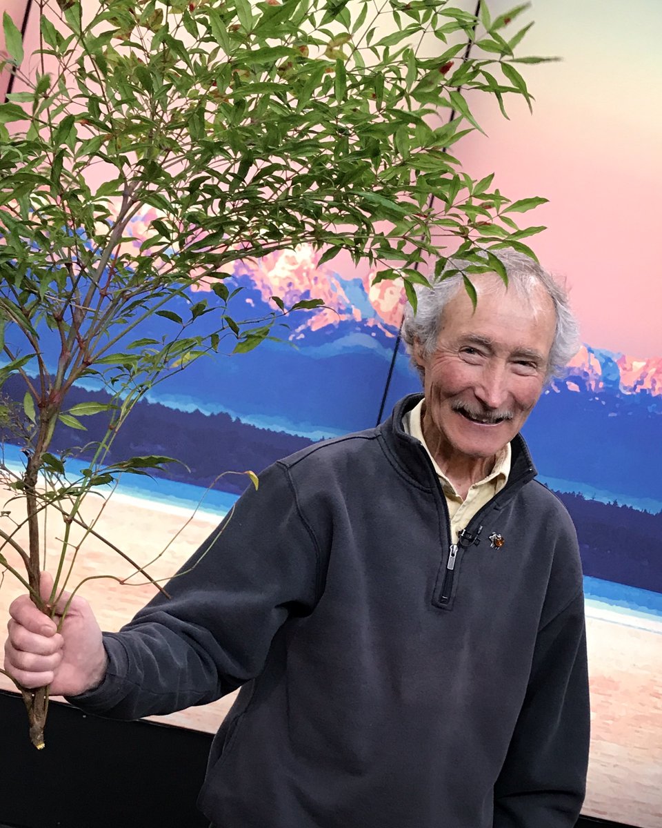 NewDayNW's tweet image. Spring has sprung!  Ciscoe showed us how to prune our shrubs to make our gardens lush and healthy!  
.
.
.
#newdaynw #pacificnwgarden #springpruning #ciscoe #gardeningwithciscoe
