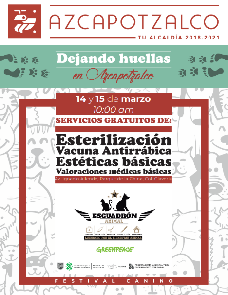 InjuveCDMX's tweet photo. Te invitamos este 14 y 15 de marzo, 10h, al parque de La China, Azcapotzalco, estaremos "Dejando Huellas"

Participará la #BrigadaINJUVE #ConcienciaAnimal con diferentes actividades

Habrá servicio de esterilización, vacuna antirrábica y valoraciones médicas básicas

#SomosINJUVE https://t.co/hAtDgUEh2j