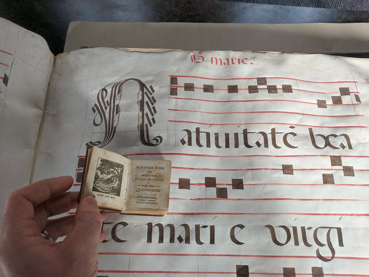 WeijerBooks's tweet photo. Just for scale, here's one of our miniature Bibles from the #baldwinlibrary, another book whose size determines its use.
We're excited to share it with the classes that come in, and hope it gives them a different idea of what books can be. #storiedbooks https://t.co/RFGKnbYlJX