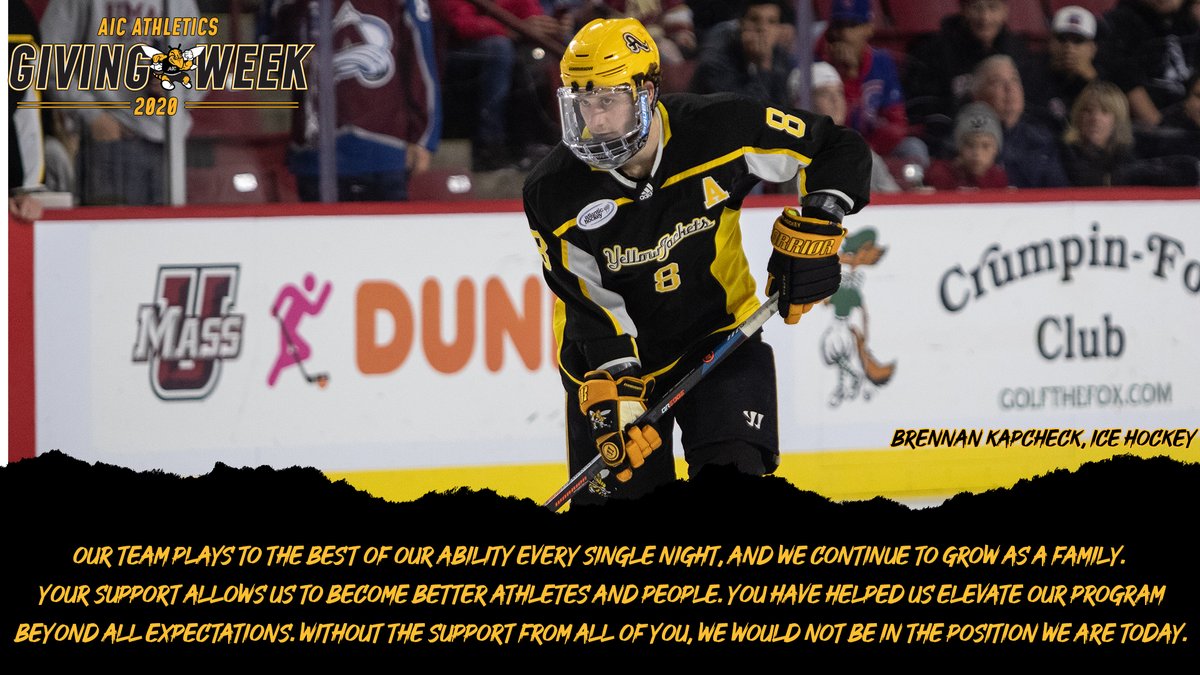 AIC Hockey tweet media