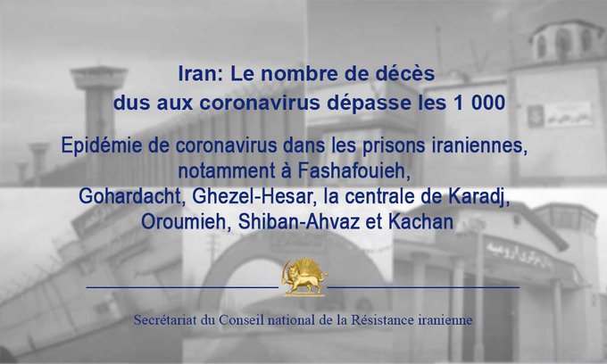 Voir l'image sur Twitter