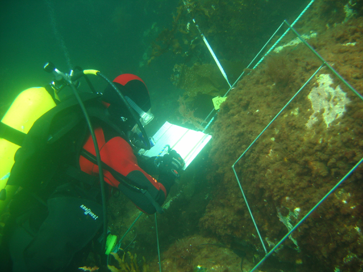 So why is it important to survey our marine environment? Globally, we’re not doing so well at protecting our oceans, and a lot of marine biodiversity is under threat. (1/3)
^CK.

📷: DOC | <a href="/CaptainKettles/">Helen Kettles</a> at work in Fiordland.
