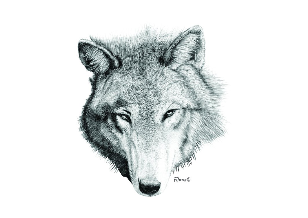 rpmretail_co_uk's tweet photo. We are currently offering a 25% discount on all of our bespoke prints for the next month only!
 
Click the click to find out more:
https://t.co/RnuT6Dj5lA https://t.co/fOWheEUEgE