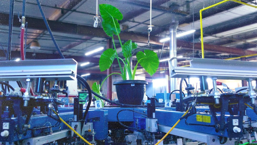 You can never have enough plants and machines. 🌿 💪  <a href="/mrcompanies/">M&R</a> 

#screenprinting #printlife #printmakers #hustle #smallbusiness  #screenprinters #printmaking #printlife #supportlocal