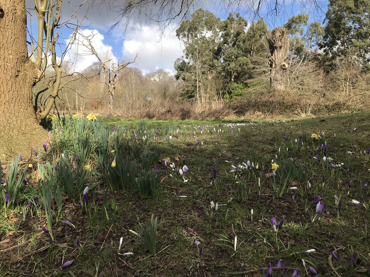 <a href="/MoorGreenRehab/">Moor Green Brain Injury Unit</a> it’s week 8 of the timetable so today we progressed to our longest ‘Walking for Wellbeing’ walk. The sun was shining for the first time in weeks and the clients enjoyed being out in the fresh air. #BrainInjury #NeuroRehab <a href="/bhamcommunity/">@bhamcommunity</a>