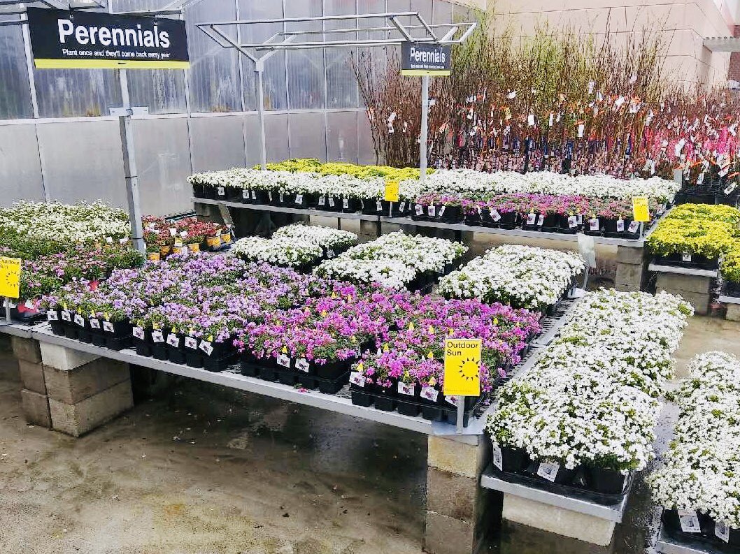 PPSKare's tweet photo. THD 3609 Where we have Spring Shine! Color is on the Apron in Wilmington NC #perennialpride❤️ #ppspower💪 @RichRiceTHD @JimSimmonsHD @pps_s_atlantic @PNewtonPlants https://t.co/2EpyILqc3B