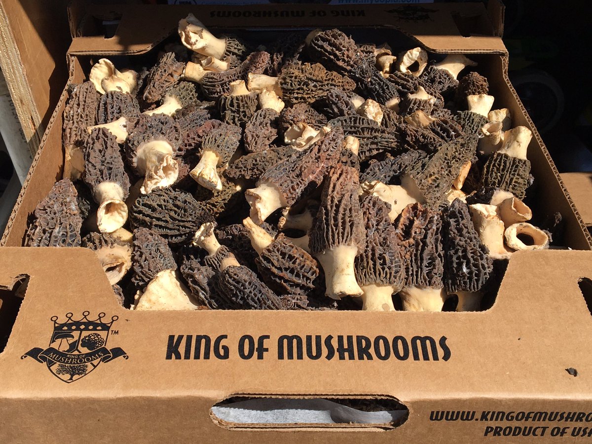 Ciao tutti,
Come join us today for a taste of morels at Chef’s Lounge hosted at Divino Ristorante in Belmont from 3-6pm.